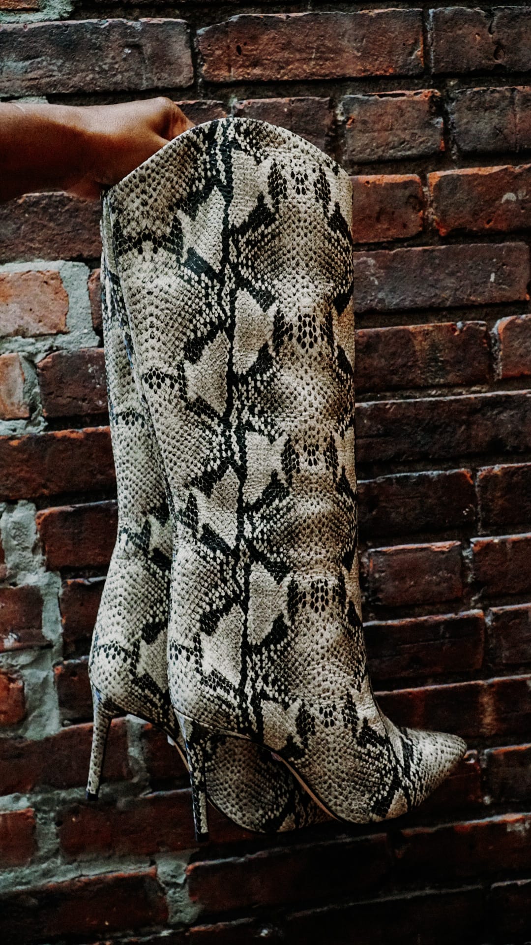 Schutz snakeskin hotsell boots